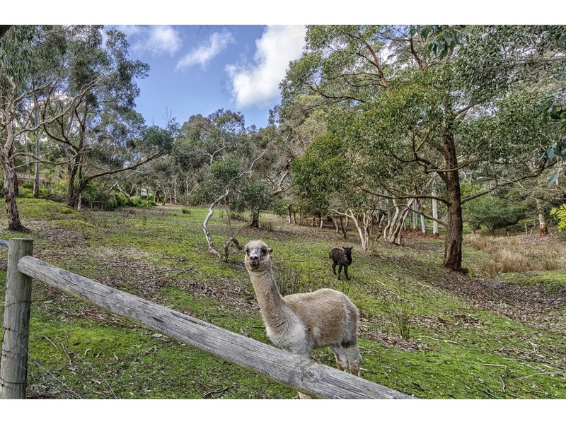 22 Jacobs Road, Mount Compass SA 5210