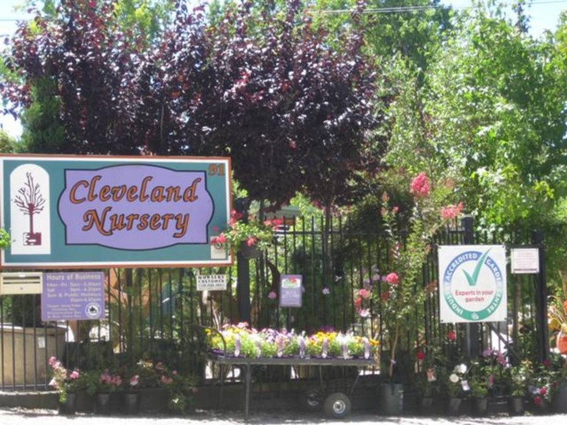 91A Mt Barker Road, Stirling SA 5152