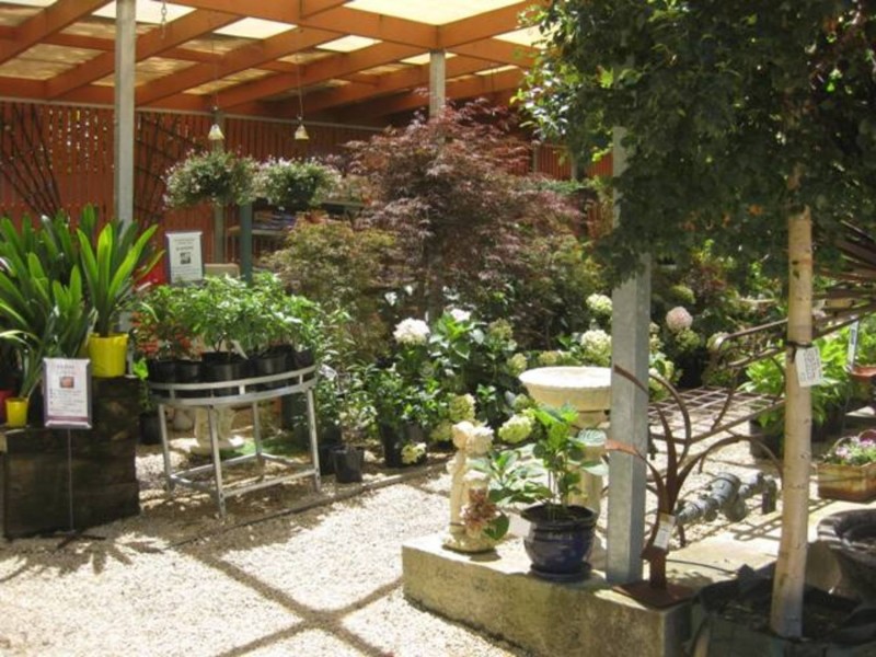 91A Mt Barker Road, Stirling SA 5152