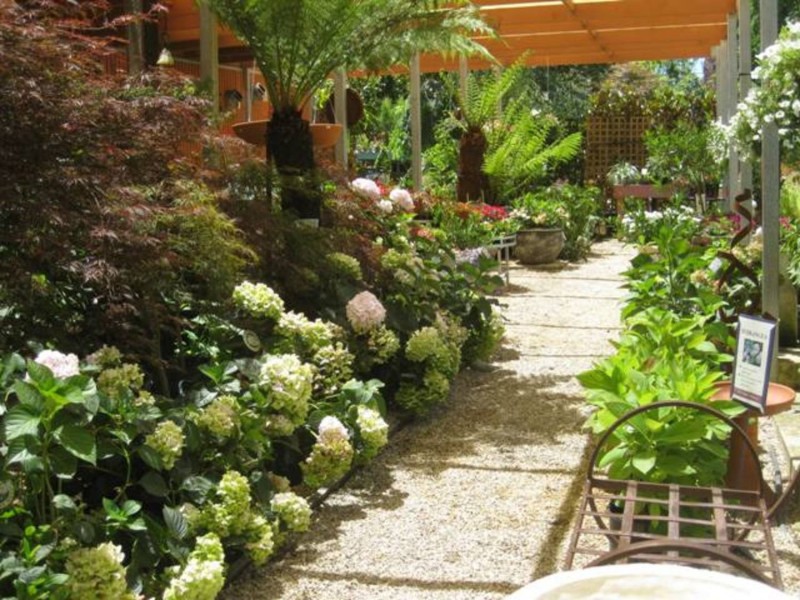 91A Mt Barker Road, Stirling SA 5152