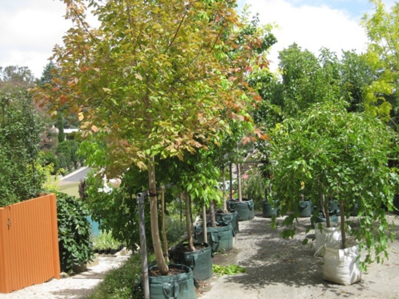 91A Mt Barker Road, Stirling SA 5152