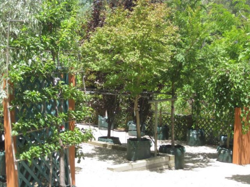 91A Mt Barker Road, Stirling SA 5152