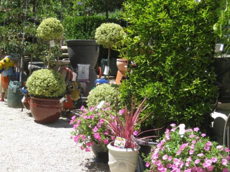 91A Mt Barker Road, Stirling SA 5152