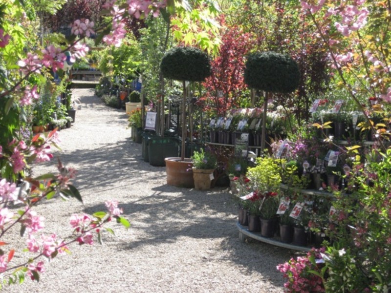 91A Mt Barker Road, Stirling SA 5152