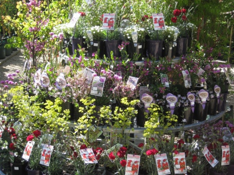 91A Mt Barker Road, Stirling SA 5152