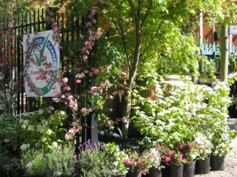 91A Mt Barker Road, Stirling SA 5152