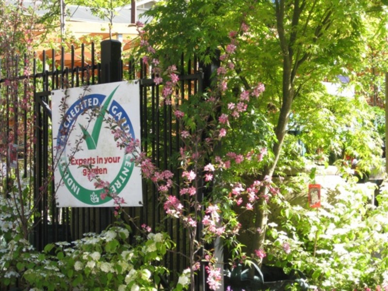 91A Mt Barker Road, Stirling SA 5152