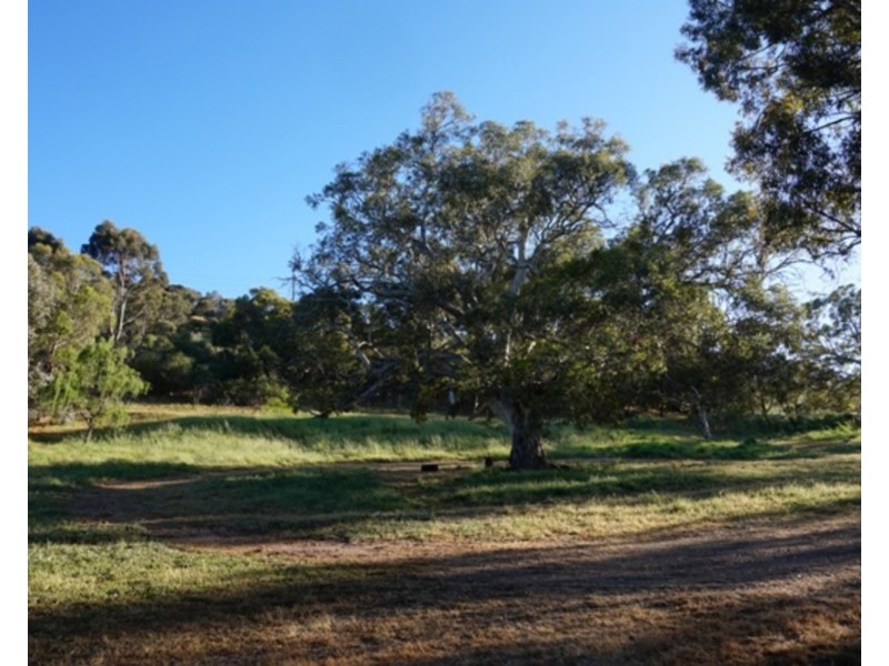 Lot 6 Jervois Road, Yankalilla SA 5203