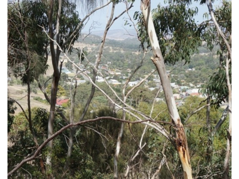 Lot 6 Jervois Road, Yankalilla SA 5203