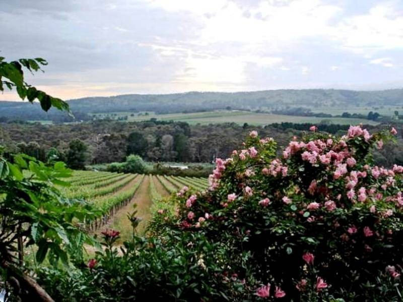 309 Blewitt Springs Road, Mclaren Vale SA 5171