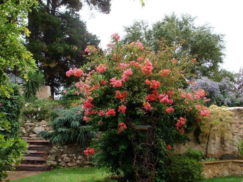 309 Blewitt Springs Road, Mclaren Vale SA 5171