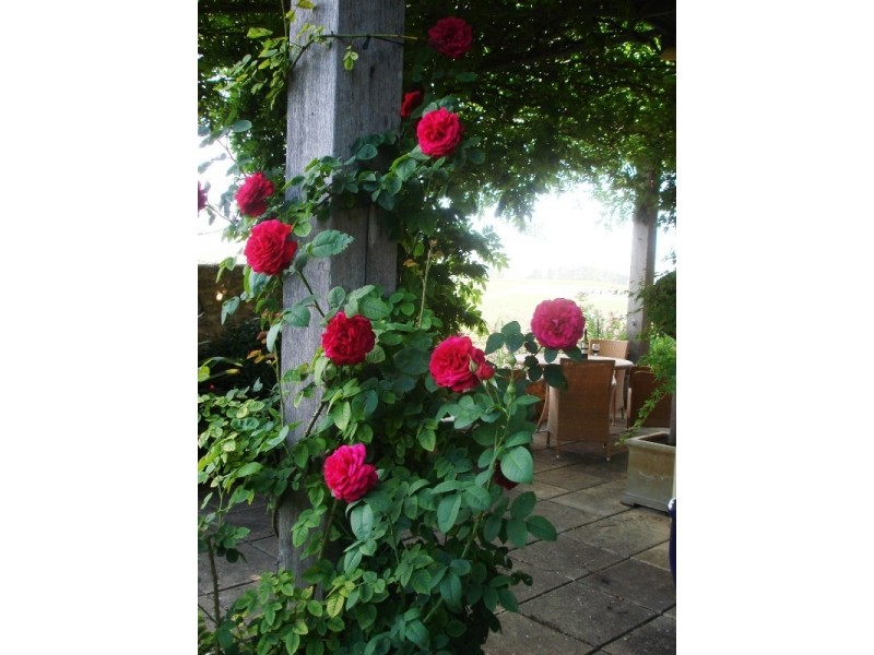 309 Blewitt Springs Road, Mclaren Vale SA 5171