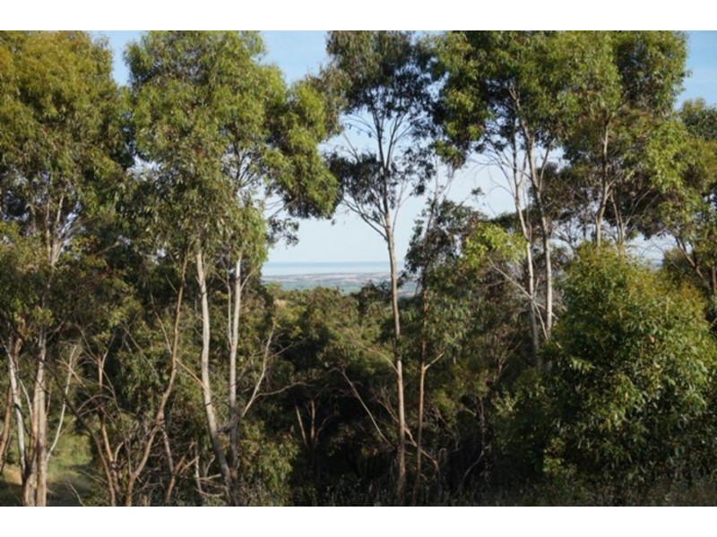 Lot 102 Range Road West, Willunga SA 5172