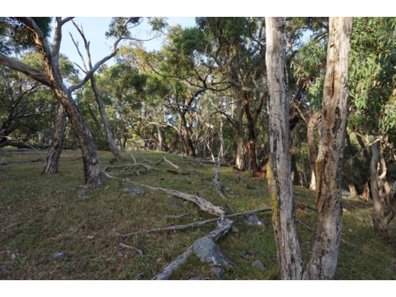 Lot 102 Range Road West, Willunga SA 5172