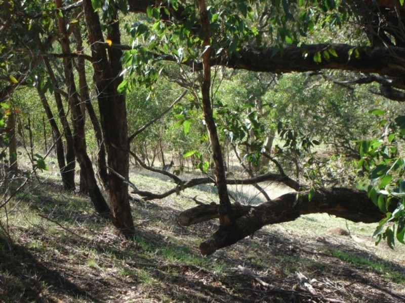 Lot 102 Range Road West, Willunga SA 5172