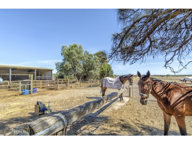 14 Norman Road, Aldinga Beach SA 5173