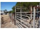 21 Rapid Bay Road, Delamere SA 5204