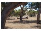 21 Rapid Bay Road, Delamere SA 5204