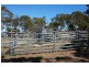 142 Wattle Flat Road, Carrickalinga SA 5204