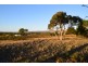 Lot 1 Hunt Road, Mclaren Flat SA 5171