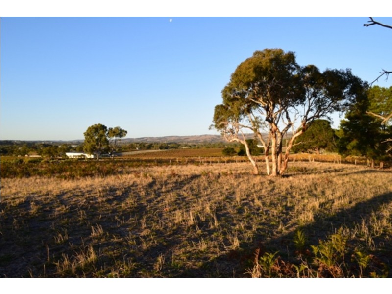 Lot 1 Hunt Road, Mclaren Flat SA 5171