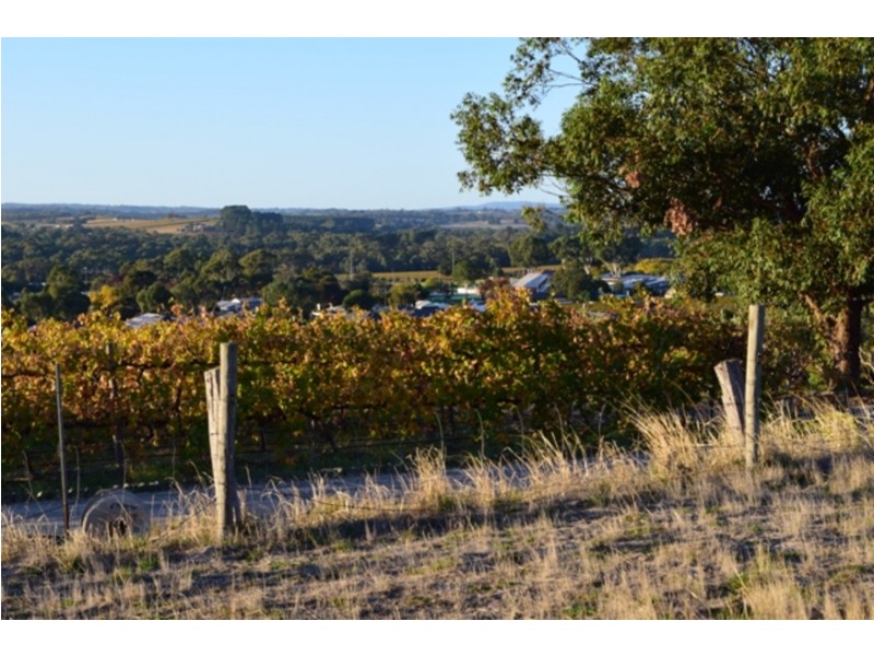 Lot 1 Hunt Road, Mclaren Flat SA 5171