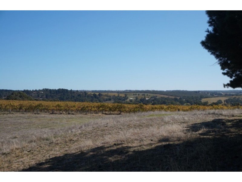 Lot 1 Hunt Road, Mclaren Flat SA 5171