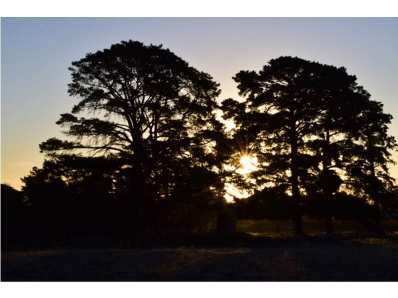 Lot 1 Hunt Road, Mclaren Flat SA 5171