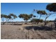 37 Yeomans Lodge Road, Middleton SA 5213