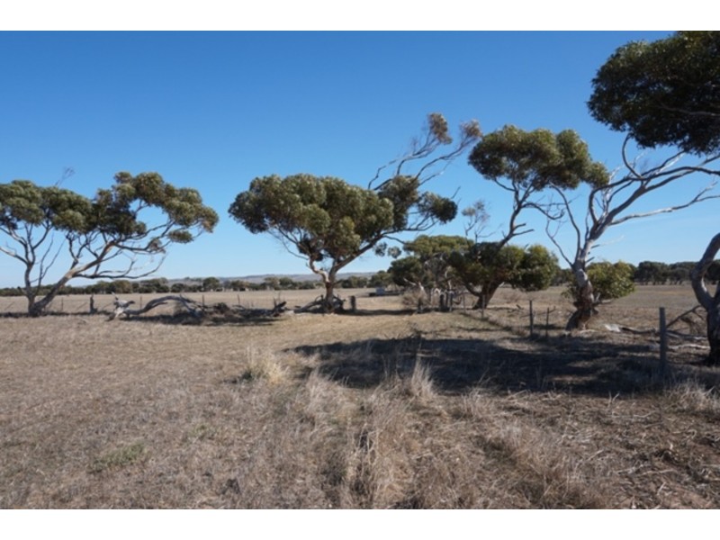 37 Yeomans Lodge Road, Middleton SA 5213