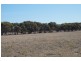 37 Yeomans Lodge Road, Middleton SA 5213