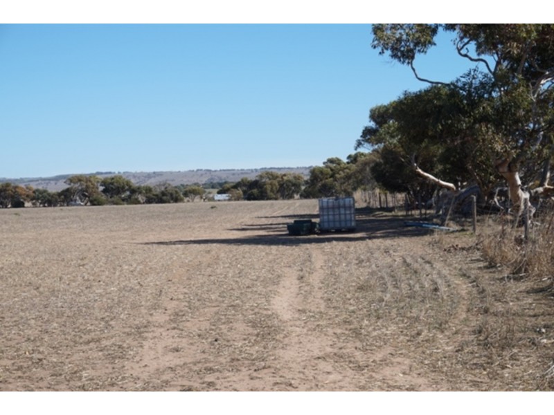 37 Yeomans Lodge Road, Middleton SA 5213