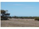 37 Yeomans Lodge Road, Middleton SA 5213