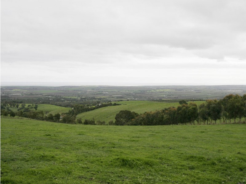 181 Taylors Hill Road, Willunga SA 5172