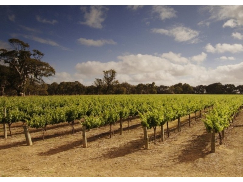 193 Richmore Road, Milang SA 5256