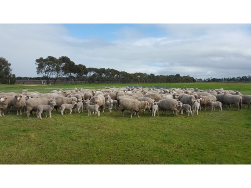 193 Richmore Road, Milang SA 5256