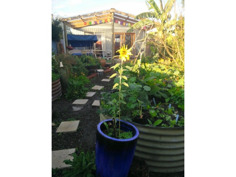 83 Aldinga Road, Willunga SA 5172