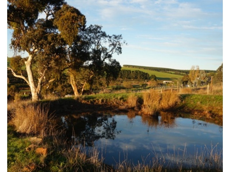 Lot 641 Nangkita Road, Mount Compass SA 5210