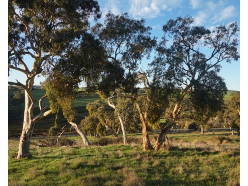 Lot 641 Nangkita Road, Mount Compass SA 5210