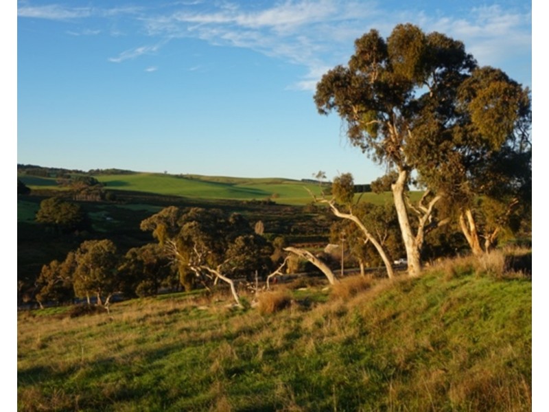 Lot 641 Nangkita Road, Mount Compass SA 5210