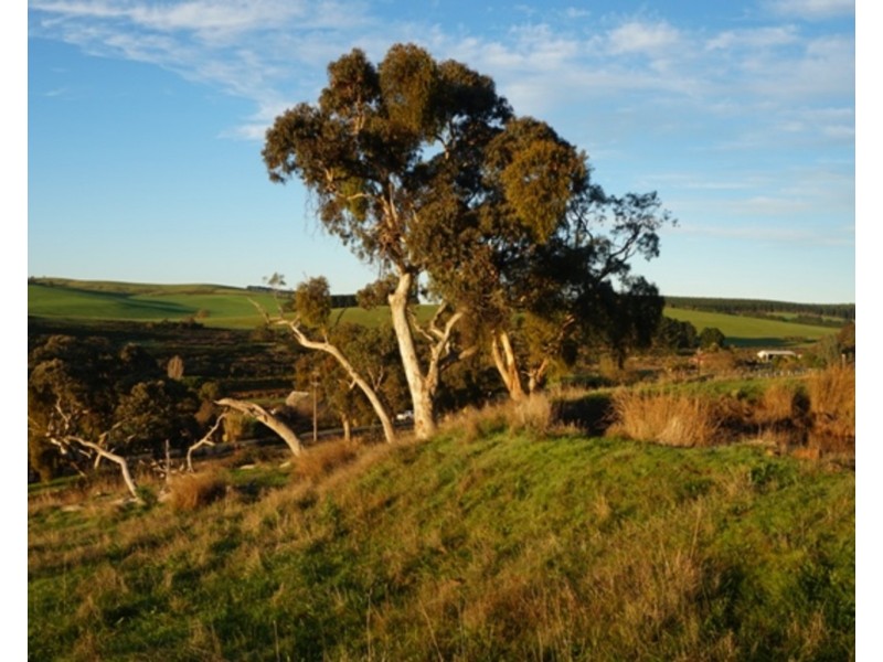 Lot 641 Nangkita Road, Mount Compass SA 5210