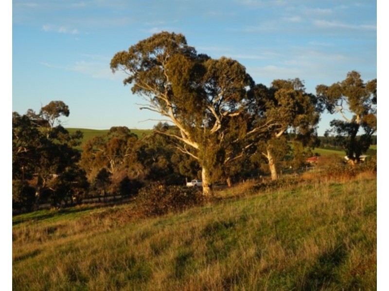 Lot 641 Nangkita Road, Mount Compass SA 5210