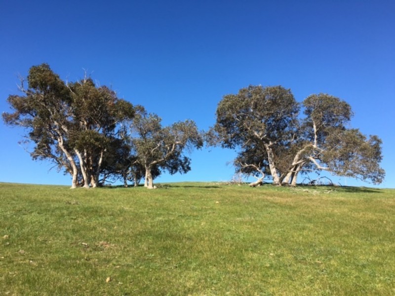 211 Enterprise Road, Yundi SA 5172