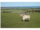 Sec/2221 Flagstaff Hill Road, Middleton SA 5213