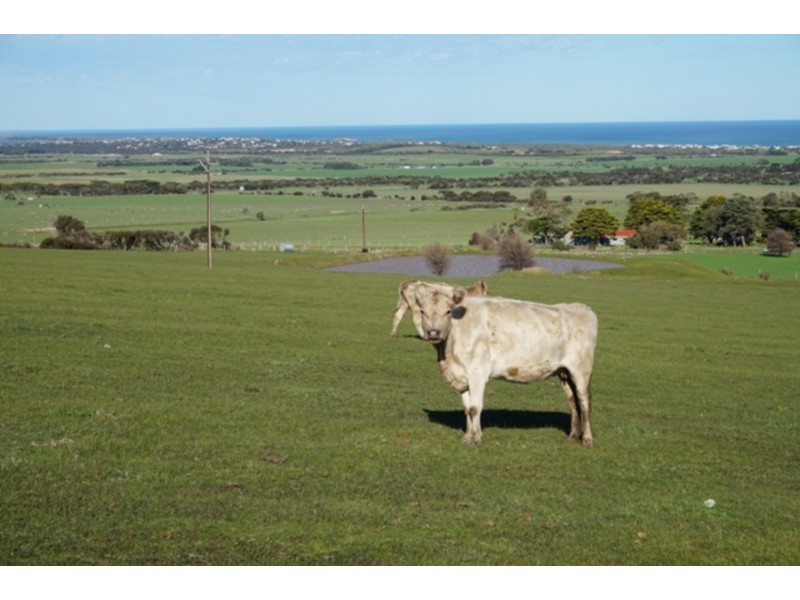 Sec/2221 Flagstaff Hill Road, Middleton SA 5213