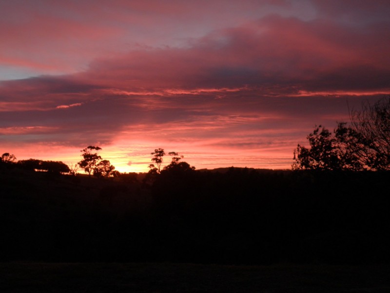 54 Pyne Hill Road, Wattle Flat SA 5203