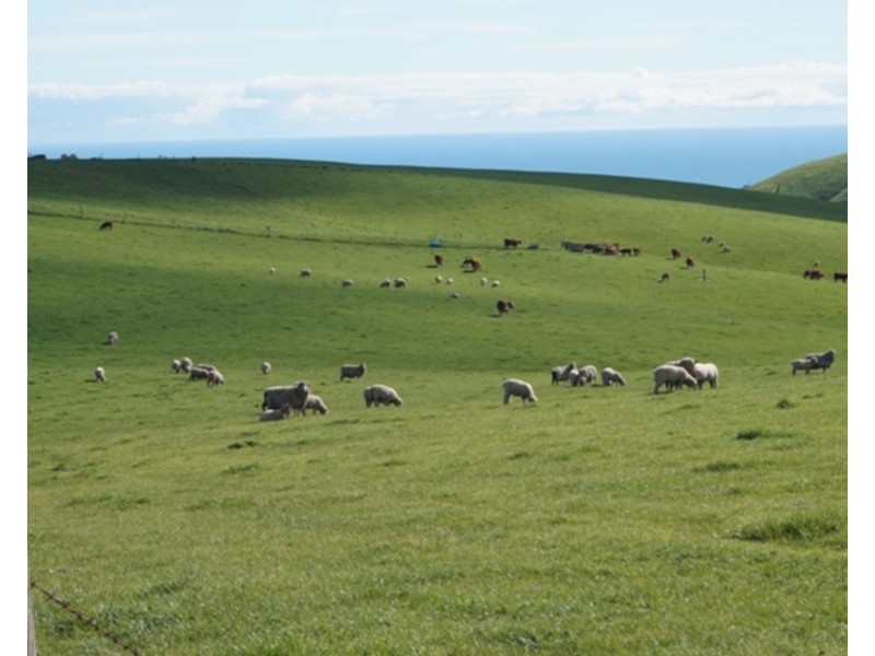 LOTS 51 & 52 Reservoir Road, Myponga SA 5202