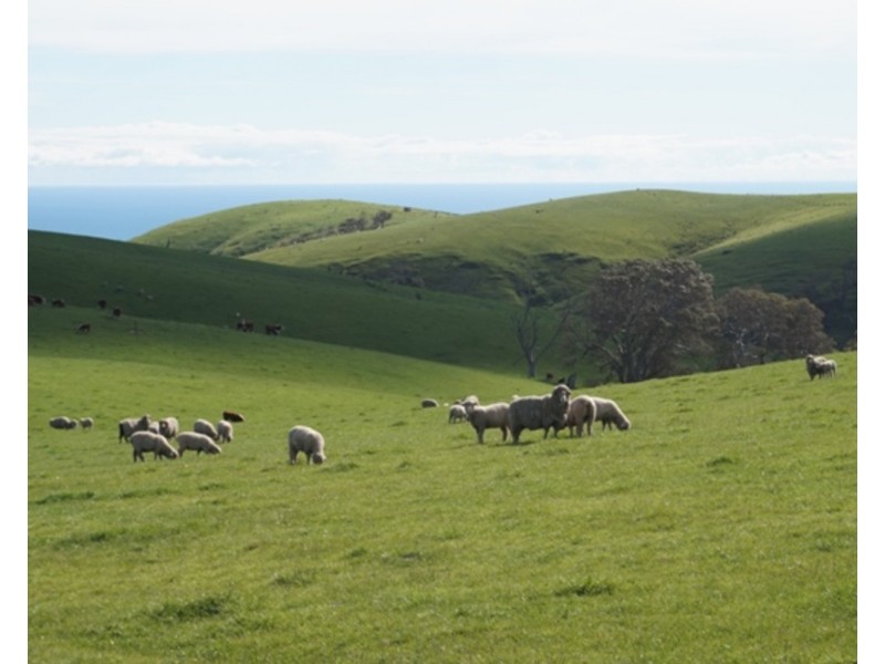 LOTS 51 & 52 Reservoir Road, Myponga SA 5202