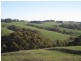 710 Springmount Road, Hindmarsh Tiers SA 5202