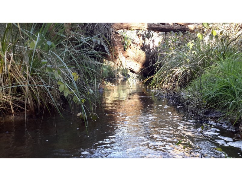 710 Springmount Road, Hindmarsh Tiers SA 5202